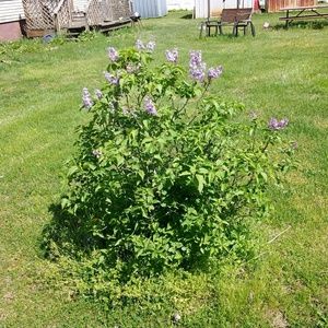 Meet your Posher, Regina